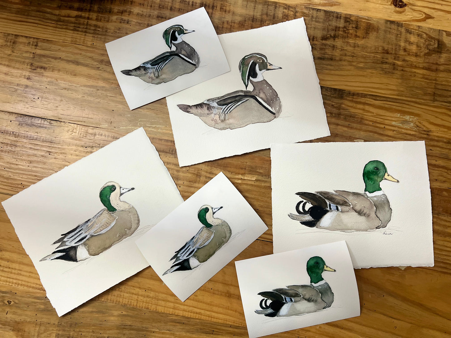 Duck Prints on Fine Art Paper
