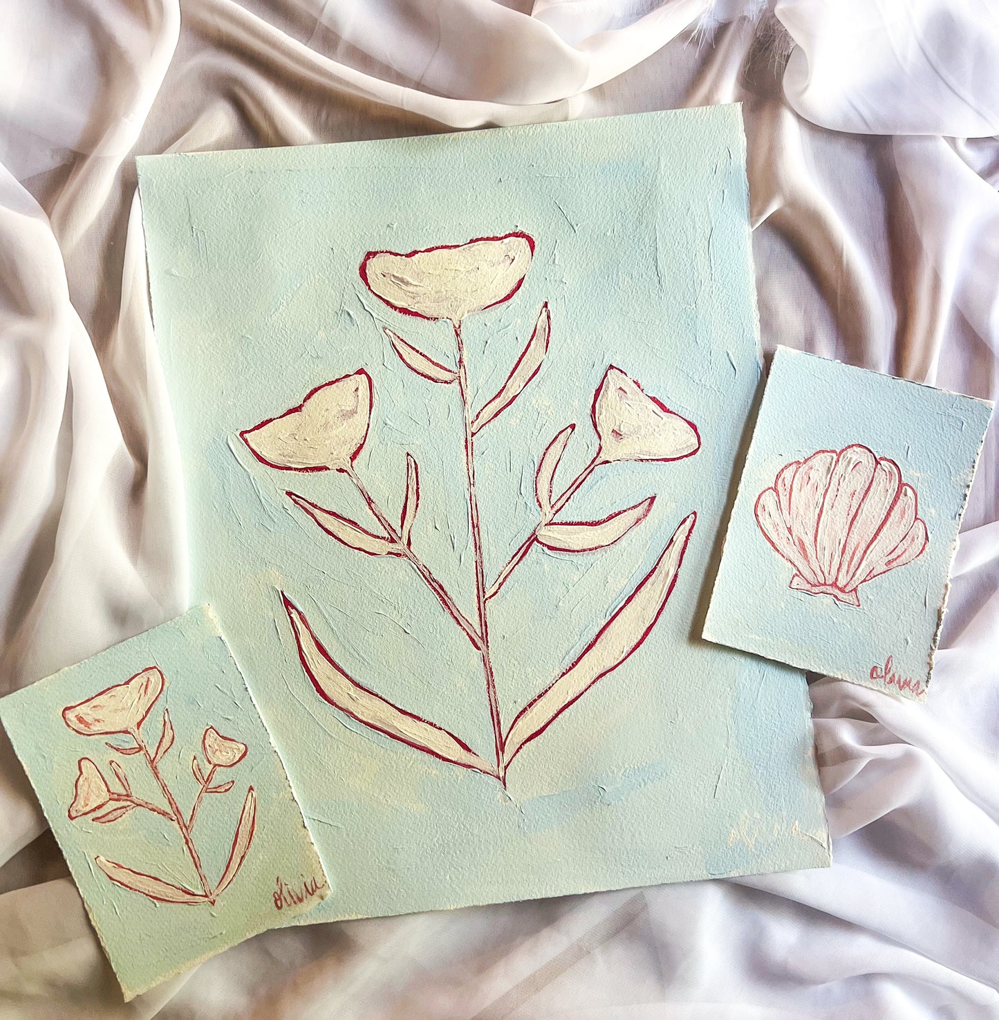 Acrylic Framed Shell or Botanical