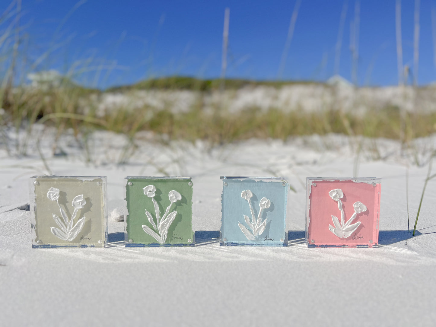 Coastal Petals
