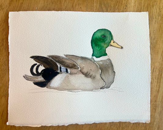 Duck Prints on Fine Art Paper