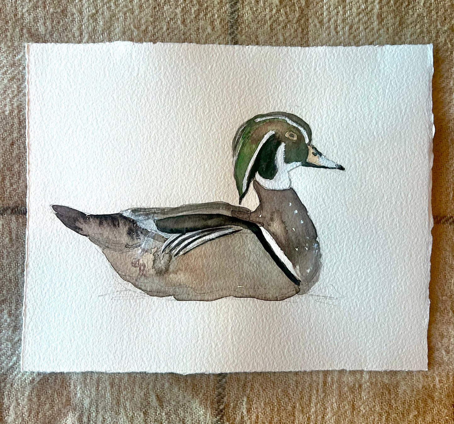 Original Duck Collection