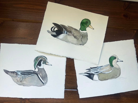 Original Duck Collection