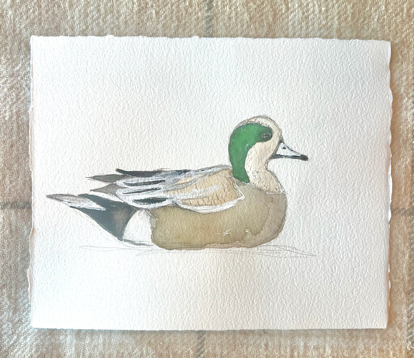 Original Duck Collection