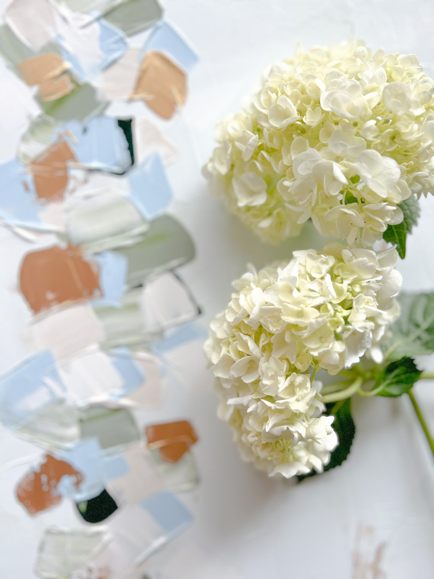 Hydrangea Petals