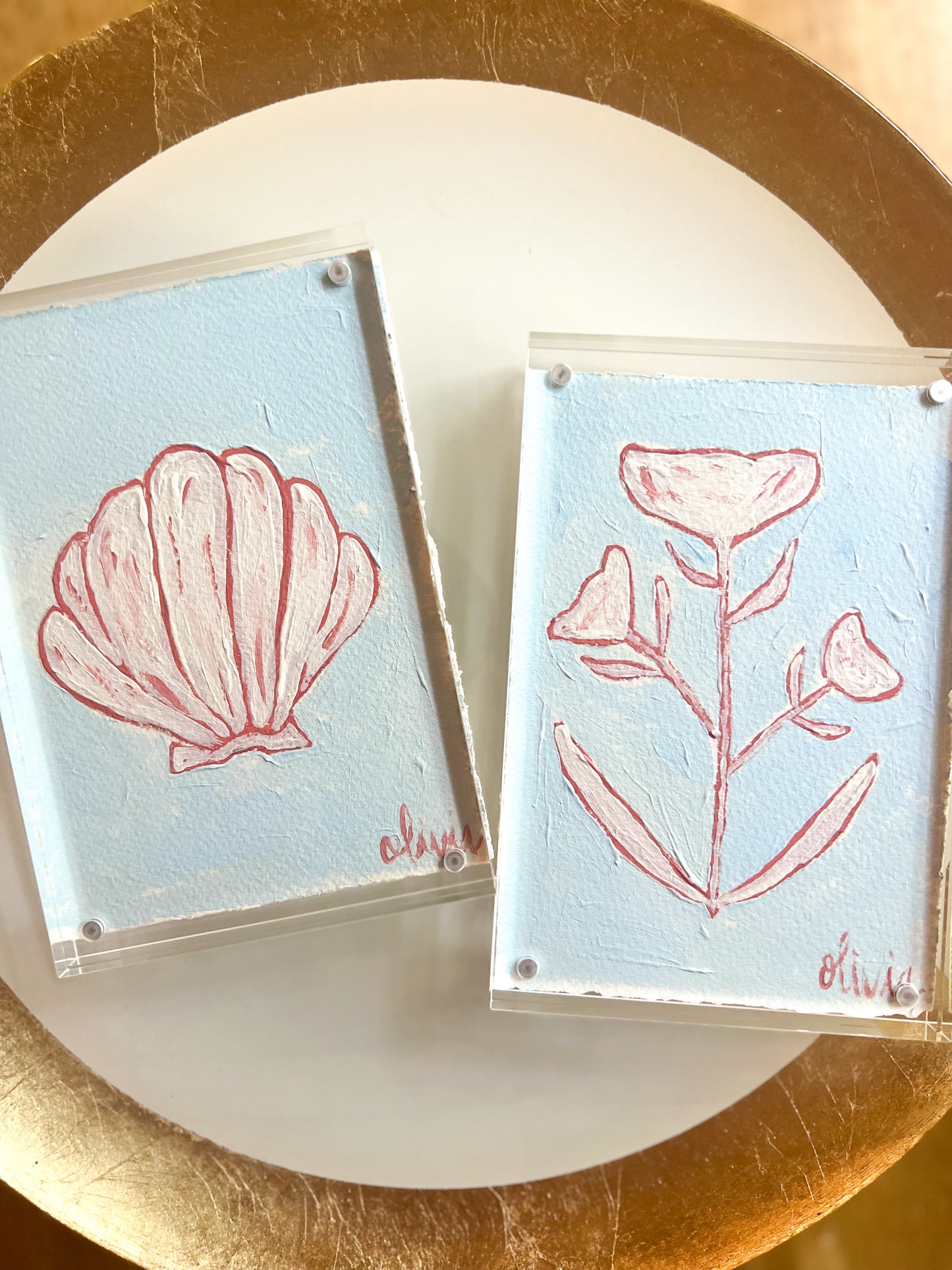 Acrylic Framed Shell or Botanical